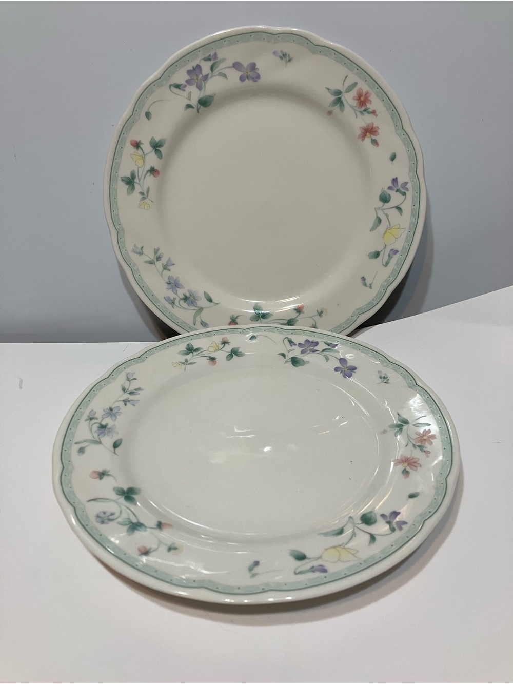 Citation Companies Felicity Fine Porcelain China 7.5” Salad Plate (2 plates )